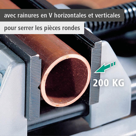 Quick-Action Vice, 100 mm (fr)