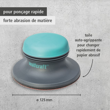 Surface Sander with Easy-Fix Fibre, Ø 125 mm (fr)